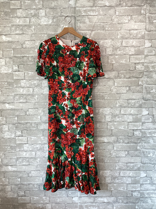 Dolce & Gabbana Size S/IT 40 red/green Dress