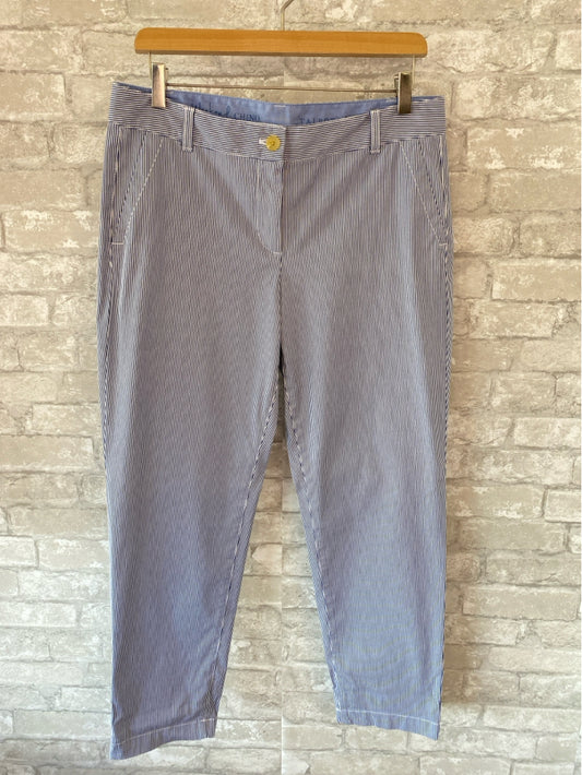 Talbots Size 10P Blue/White Pants