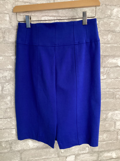 Lissa Mar Size S Dazzling Blue Skirts